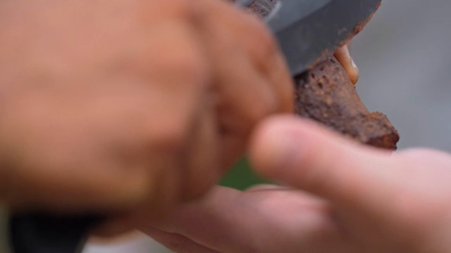 Hands peeling the bark of a cacao tree