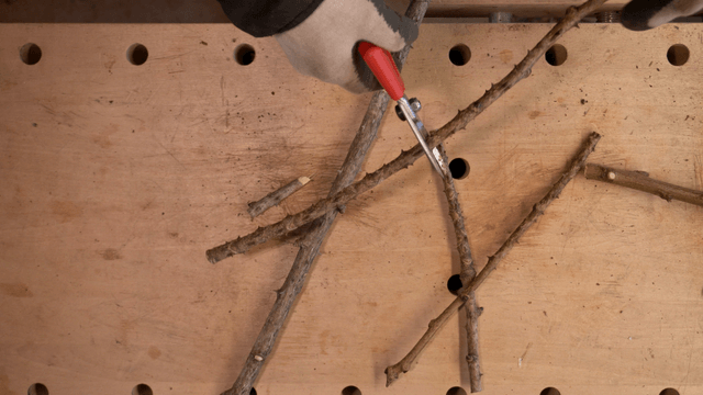 Pruning shears trimming branches on workbench