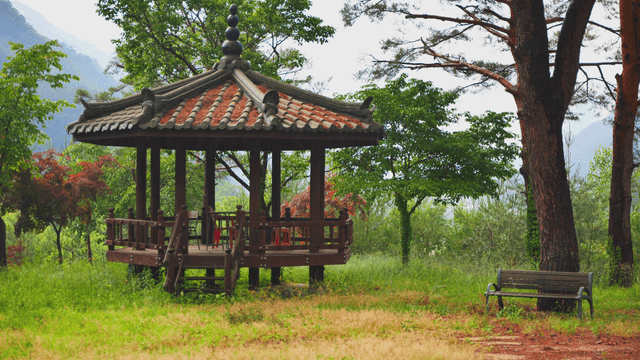 Pavilion surrounded by trees on a rainy day