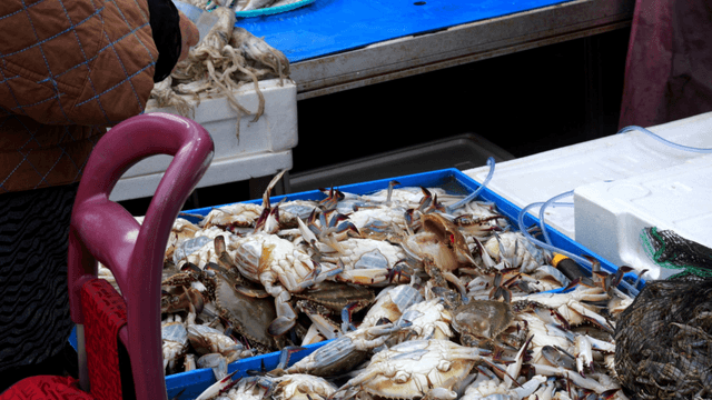 Fresh crabs and shellfish at a market stall