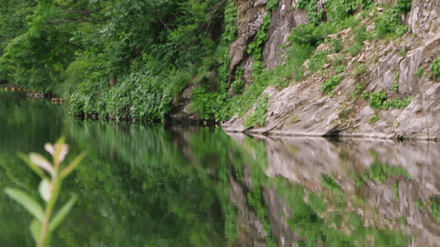 A calm river reflecting lush greenery