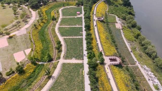 Aerial view of a scenic park with pathways