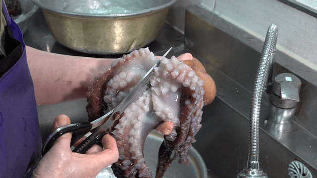 Cleaning and preparing an octopus in a sink