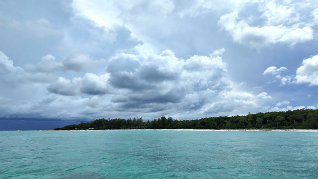 A tranquil beach with lush greenery