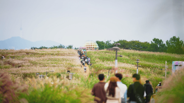 People walking through a beautiful autumn field