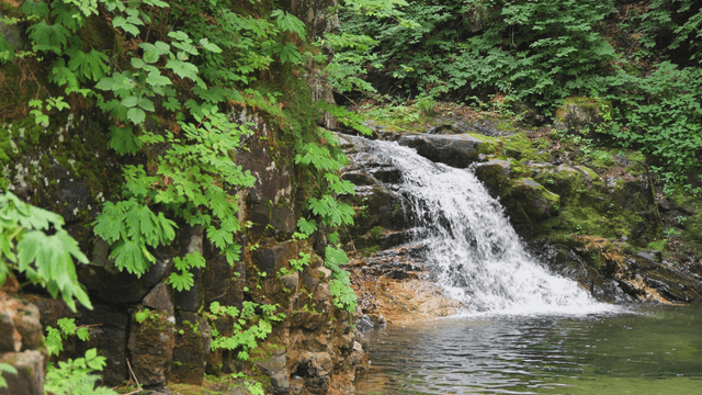 Small valley flowing beside mossy cliff