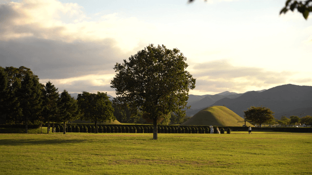 나무와 언덕이 있는 평화로운 공원