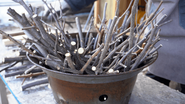 Chopped wooden branches filled in a container