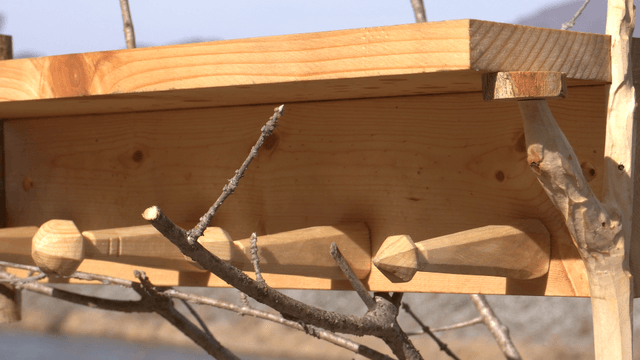 Wooden shelf stand on tree branches