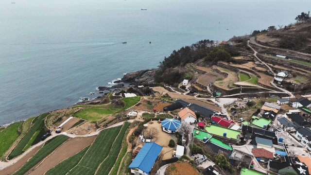 Coastal village with terraced fields