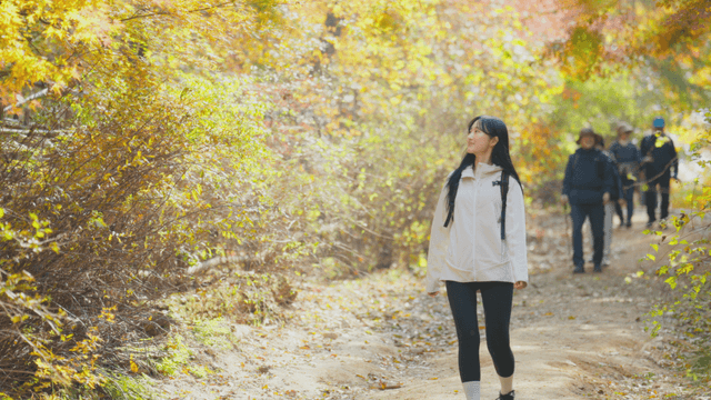 Young woman walking down sunlit autumn trail
