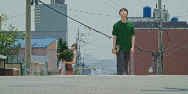 Couple walking down the street carrying a tree