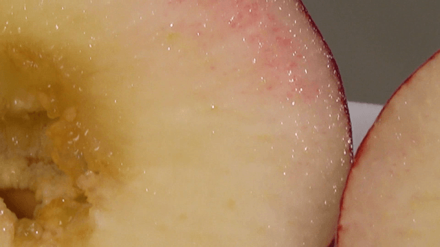 Cross section of fresh peach slices