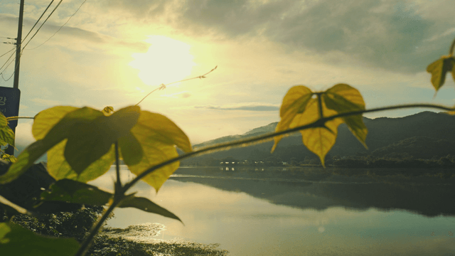 Sunlit lake with mountains and leaves