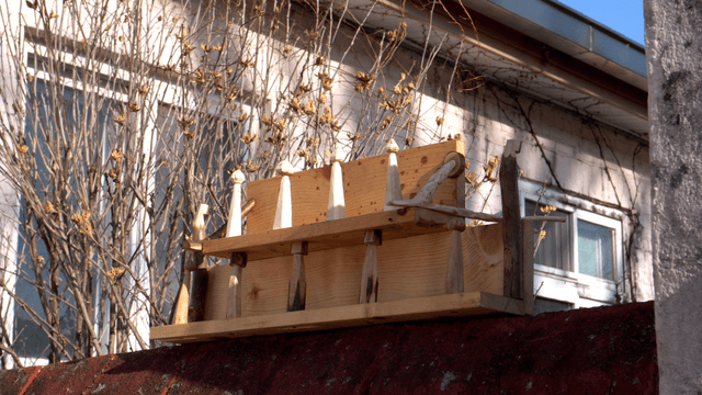 Wooden shelves on wall before bare winter trees