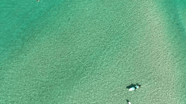 People paddleboarding on clear water