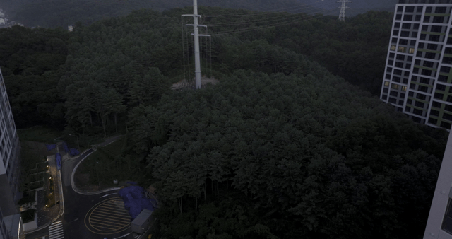 숲으로 둘러싸인 고층 아파트