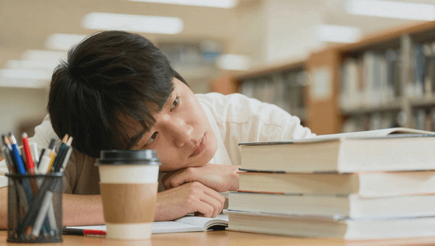 Student studying in library