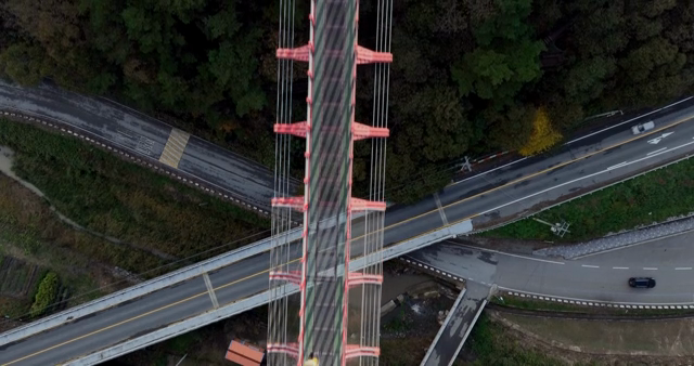 Aerial view of a bridge over a forest