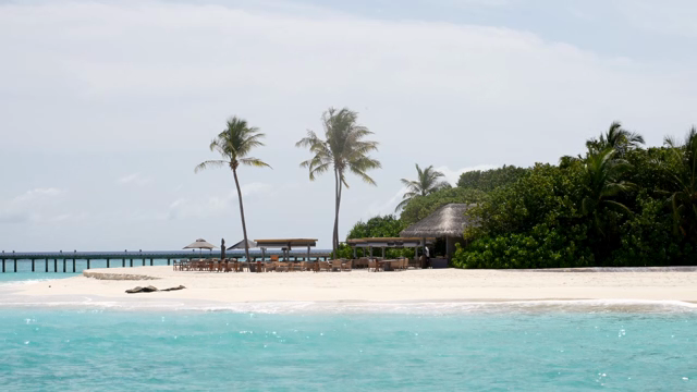 A serene beach with palm trees and huts