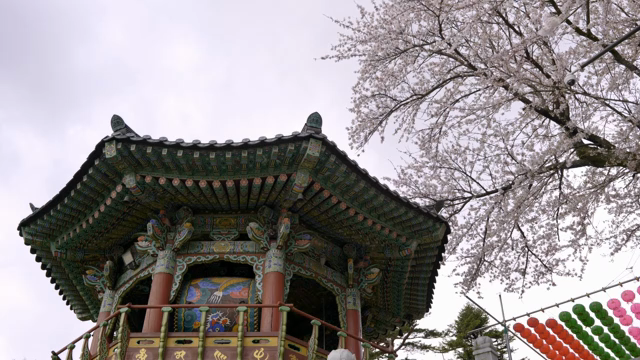 Traditional Korean pavilion with cherry blossoms