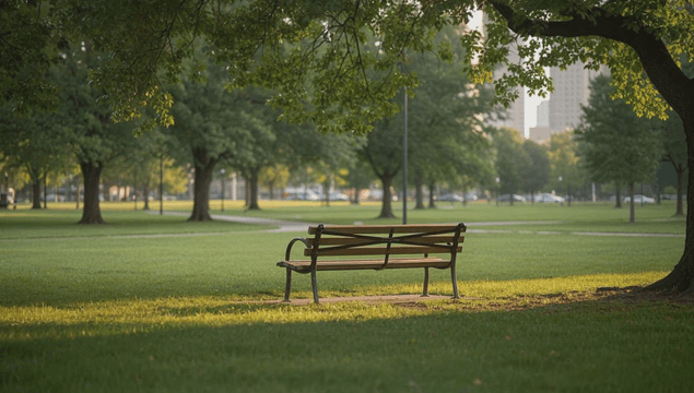 Peaceful park with wooden bench