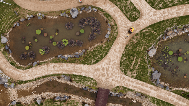 Aerial view of a garden with pond and walking path