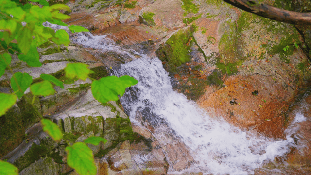 Clear valley water flowing over rocks