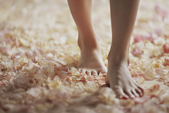 Bare feet walking on soft flower petals