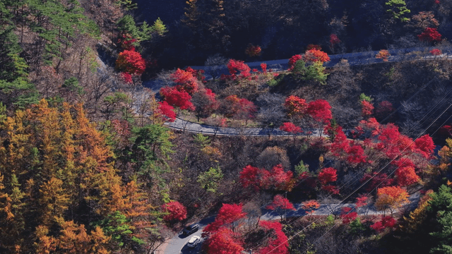 Winding road through vibrant autumn forest