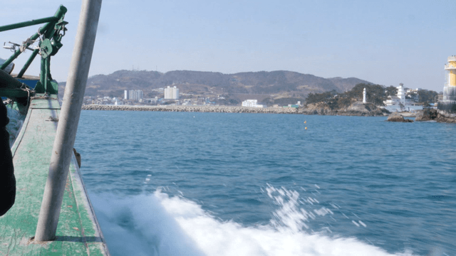 해안 도시 근처를 항해하는 배