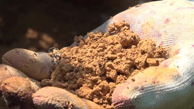 A gloved hand holding soil outdoors