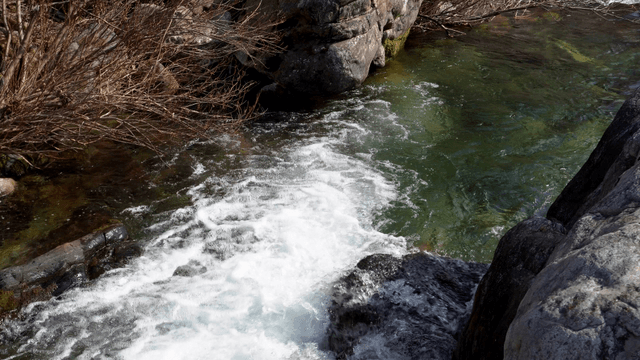 Clear river rushing over rocks