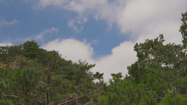 Tree-covered hill under departing clouds