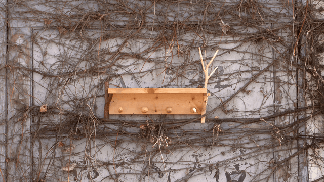 Wooden shelf on a wall covered with dry vines