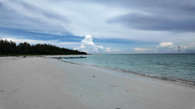 잔잔한 파도가 있는 고요한 해변