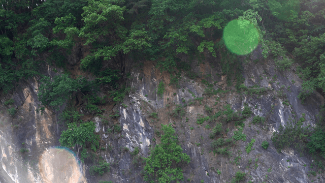 Green forest on rocky cliff