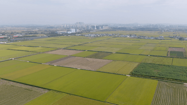 Vast fields and neatly divided farmlands