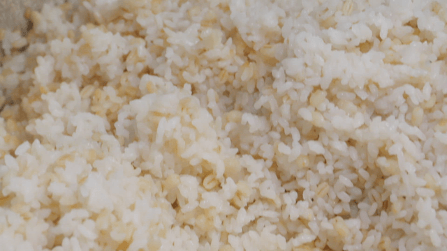 Barley rice in large rice cooker close-up