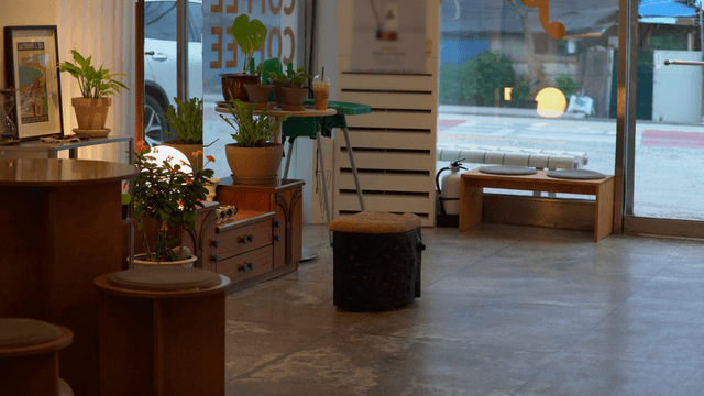 Cozy cafe interior with plants and wooden decorations