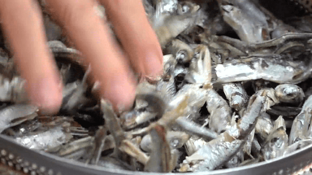 Dried anchovies placed into a soup stock bag