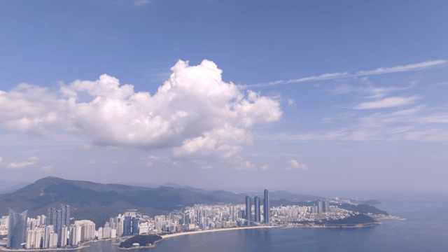 Coastal city with tall buildings and a bridge