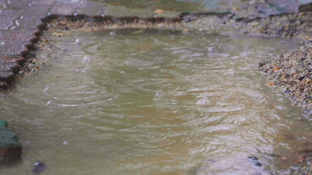 Raindrops creating ripples in a roadside puddle