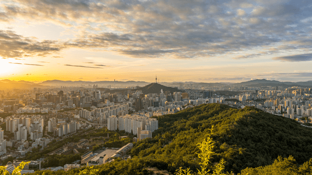 밤과 낮을 지나는 남산과 서울 풍경