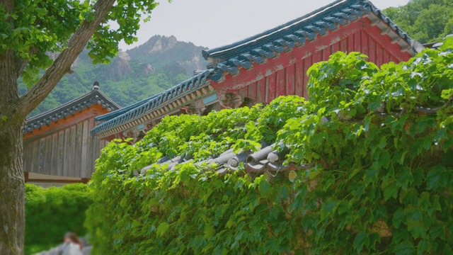 산을 배경으로 한 전통 한국 절
