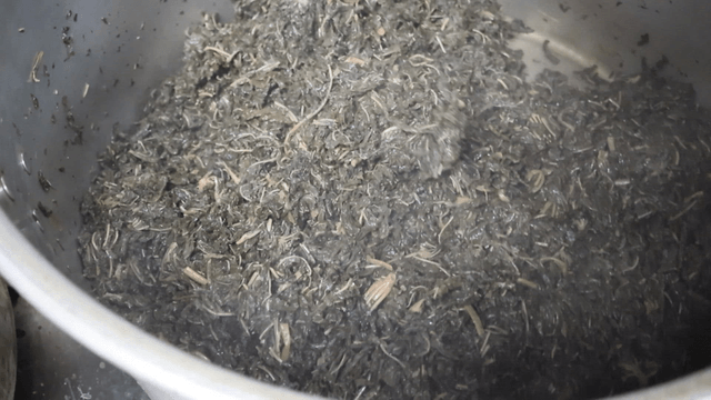 Chef stir-frying castor-oil plant with large wooden spatula