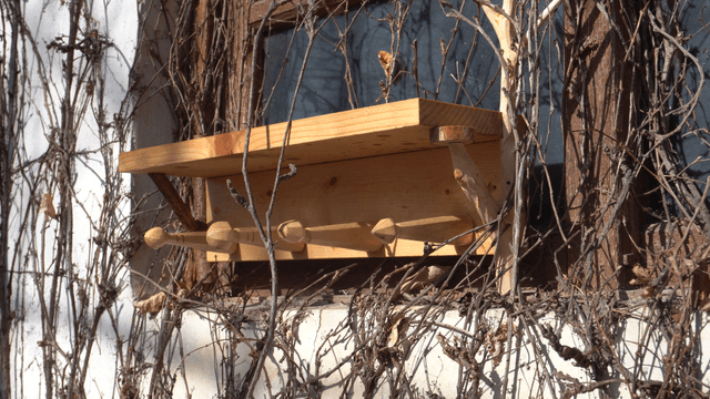 Wooden shelf entwined with dry vines