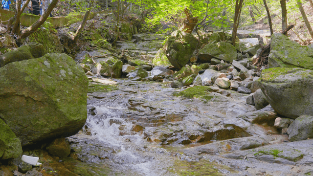 Clear valley stream flowing beside hiking trail
