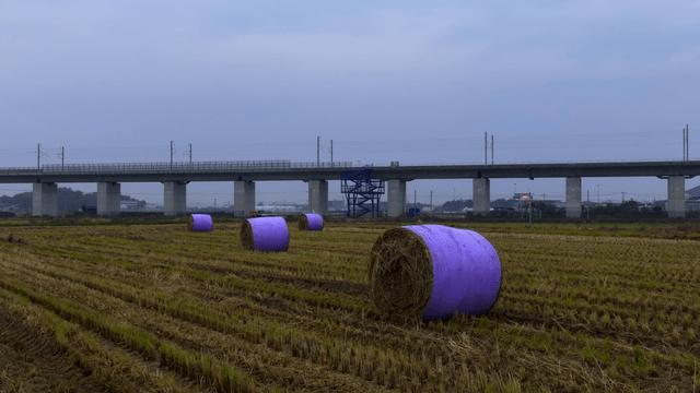 Hay bales in a field near a bridge