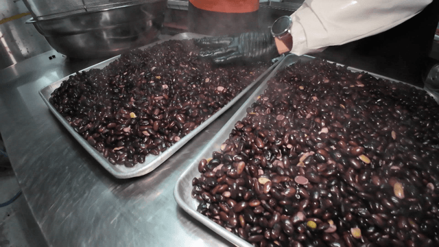 Steaming black beans on a tray
